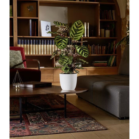 Cache-pot - EDA - OPALE - 14,8 L - Ř 29,5 x H.27,1 cm - Blanc ivoire