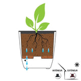 EDA Pot de fleurs Carré haut DIVA BASALT - 42 L - 43,5 x 43,5 x H.78.2 cm -Bac intérieur amovible - Gris anthracite