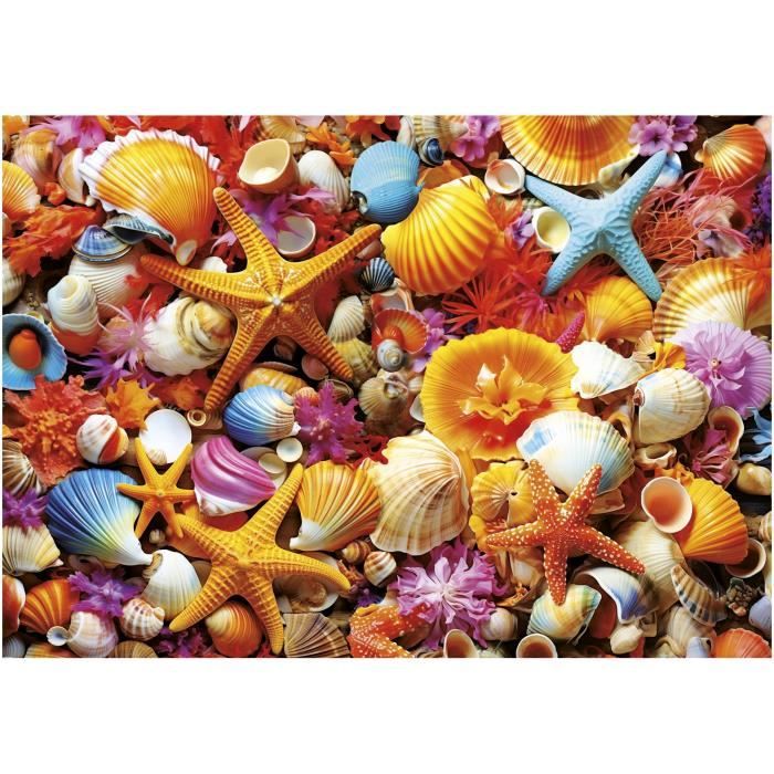 Puzzle - EDUCA - Collage de Coquillages - 1000 pieces - 68x48 cm - a partir de 12 ans