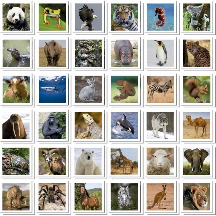 Identic Animaux - Jeu de mémoire - EDUCA - 72 cartes, développe mémoire et attention - Des 3 ans