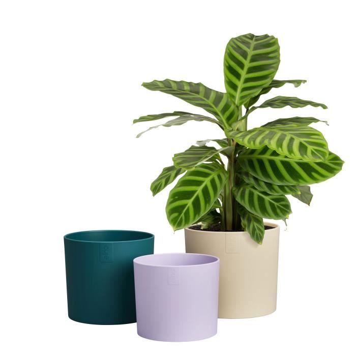 ELHO Pots de fleur Lex Pott - Set 14 cm - Blanc Vert Violet - L 14 x W 13.8 x H 12 cm - Intérieur - 100% recyclé