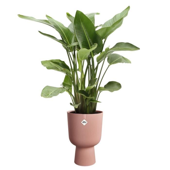 ELHO Pot de fleurs Vibes Fold Coupe - Rose - Ř 29.5 x H 45 cm - Intérieur - 100% recyclé