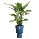 ELHO Pot de fleurs Vibes Fold Coupe - Bleu - Ø 29.5 x H 45 cm - Intérieur - 100% recyclé