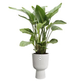 ELHO Pot de fleurs Vibes Fold Coupe - Blanc - Ř 29.5 x H 45 cm - Intérieur - 100% recyclé