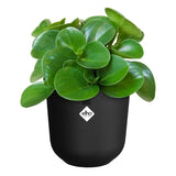 ELHO Pot de fleurs Jazz Rond - Noir - Ø 26 x H 24 cm - Intérieur - 100% recyclé
