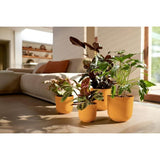 ELHO Pot de fleurs Jazz Rond - Jaune - Ø 34.5 x H 32 cm - Intérieur - 100% recyclé