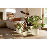ELHO Pot de fleurs - Jazz Rond - Blanc - L 35 x B 34.5 x H 32 cm - Intérieur - 100% recyclé