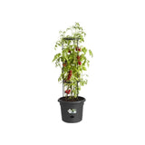 ELHO Pot a tomate Green Basics - Ø 33 x 25 cm - Noir vif