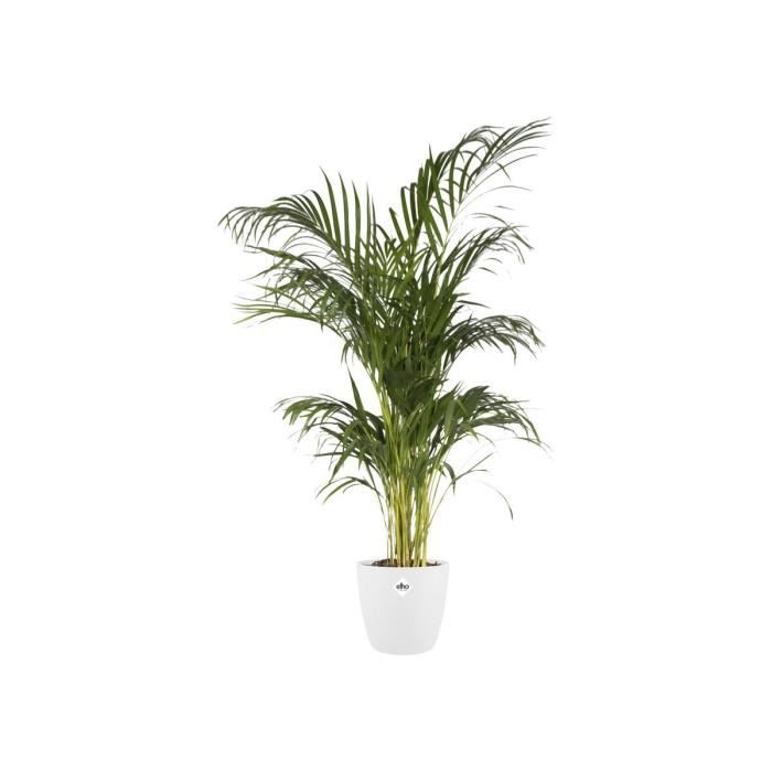 ELHO Pot de fleur BRUSSELS rond - Ø 24.3 x H 23.2 cm - Blanc