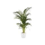 ELHO Pot de fleurs BRUSSELS rond - Ø 29.5 x H 27.1 cm - Blanc