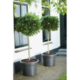 ELHO Pot de fleurs Rond GREEN BASICS - Plastique  - Ø43,8 x H33,8 cm - Terre cuite doux