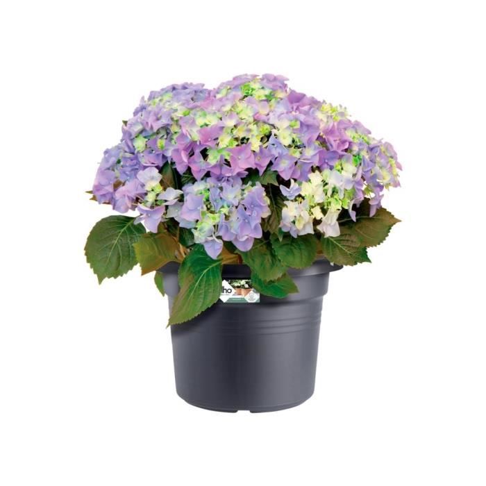 ELHO Pot de fleurs Green Basics Cilinder - Ø 64 x H 49 cm - Extérieur - 100% recyclé - Noir