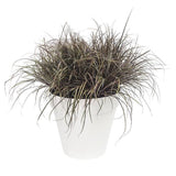 ELHO Pot de fleurs rond LOFT URBAN - 48 L - Ø 50 x H.44 cm - Blanc - Plastique