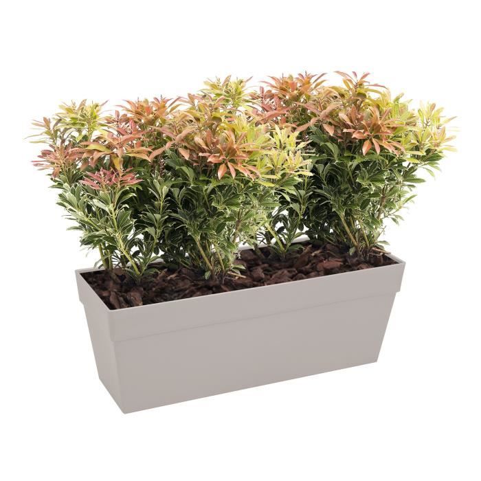 ELHO Bac a fleurs/Jardiniere Loft Urban - 49 x 17,3 x 18 cm - Gris anthracite