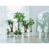 ELHO Pot de fleurs rond B.for Soft 35 - Ø 35 x H 32 cm - Intérieur - 100% recyclé - Blanc