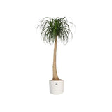 ELHO Pot de fleurs rond B.for Soft 35 - Ø 35 x H 32 cm - Intérieur - 100% recyclé - Blanc