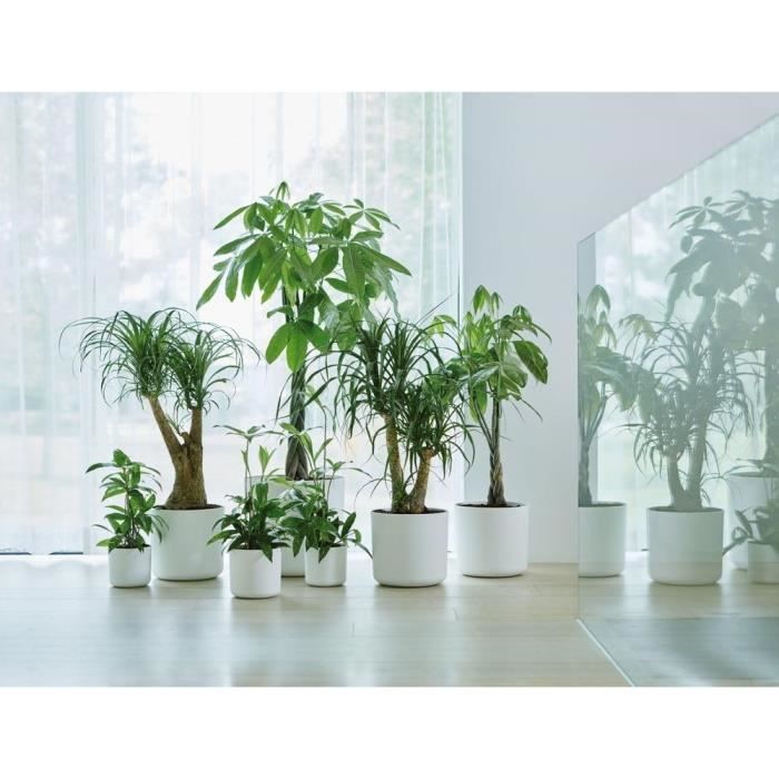 ELHO Pot de fleurs rond B.for Soft 35 - Ø 35 x H 32 cm - Intérieur - 100% recyclé - Blanc