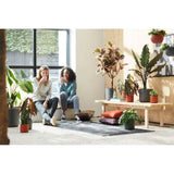ELHO Pot de fleurs rond B.for Soft - Noir - Ø 35 x H 32 cm - Intérieur - 100% recyclé