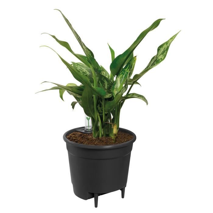 Elho Self-watering Insert Flowerpot 33 - Black - Ø 33 x H 31 cm - interioraccessories - 100% recycled