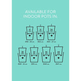 ELHO Pot a fleurs Self-watering Insert - Ø 33 x H 31 cm - Intérieur, accessoires - 100% recyclé - Noir