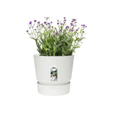 ELHO Pot de fleurs rond Greenville 25 - ExtÈrieur - ÿ 24,48 x H 23,31 cm - Blanc