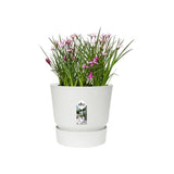 ELHO Pot de fleurs rond Greenville 25 - ExtÈrieur - ÿ 24,48 x H 23,31 cm - Blanc