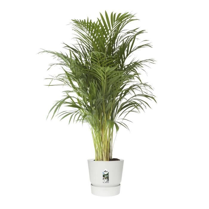 elho  Greenville Pflanztopf ÿ47 cm Pot a Plantes weiﬂ - 123