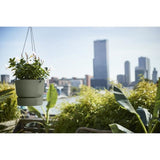 ELHO Pot de fleurs a suspendre Greenville - Ø 23,9 x H 20,3 cm - Extérieur - Vert feuille