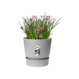 ELHO Pot de fleurs rond Greenville 25 - Extérieur - Ø 24,48 x H 23,31 cm - Gris béton vivant