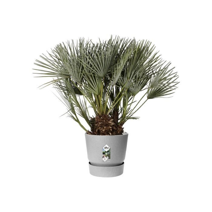 ELHO Pot de fleurs rond Greenville 40 - ExtÈrieur - ÿ 39 x H 36,8 cm - Gris bÈton vivant