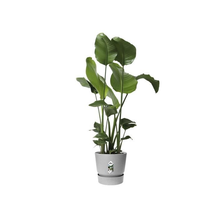 ELHO Pot de fleurs rond Greenville - Ø 47 x H 44 cm - Extérieur - 100% recyclé - Gris