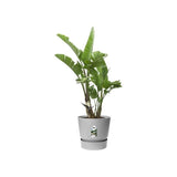 ELHO Pot de fleurs rond Greenville - Ø 47 x H 44 cm - Extérieur - 100% recyclé - Gris