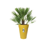 ELHO Loft Urban Pot de fleurs rond Haut 35 - Jaune - ÿ 34 x H 45 cm - extÈrieur - 100% recyclÈ