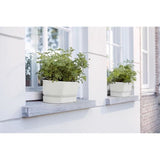 ELHO Jardiniere ovale GREENVILLE - Plastique recyclé - Ø70 x H 18,48 cm - Leaf Green