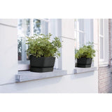 ELHO Jardiniere ovale GREENVILLE - Ø49 x 19,8 x 18,4 cm - Plastique recyclé - Résistant au gel - Noir