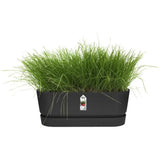ELHO Jardiniere ovale GREENVILLE - Ø49 x 19,8 x 18,4 cm - Plastique recyclé - Résistant au gel - Noir