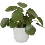 ELHO Pot de fleurs Rond VIBES - Ø22 x H20,16 cm - Plastique - Blanc