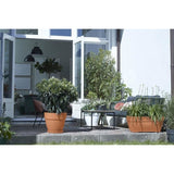 ELHO Bac a fleurs Terrasse Vibia Campana - L 77 x W 35 x H 33 cm - Extérieur - 100% recyclé - Marron