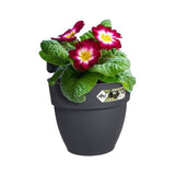 ELHO Pot de fleurs balcon Vibia Campana Easy Hanger Small - Anthracite - Balcon extérieur - L 24.1 x W 20.5 x H 26.5 cm