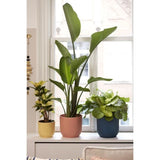 ELHO Pot de fleurs Rond VIBES - Ø25 x H23cm - Plastique - Rose poudré