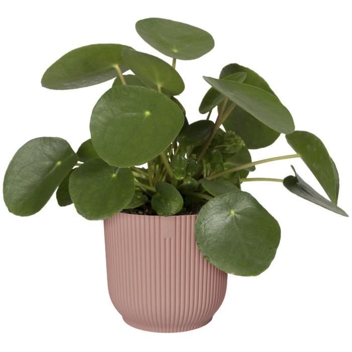 ELHO Pot de fleurs Rond VIBES - Ø25 x H23cm - Plastique - Rose poudré