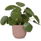 ELHO Pot de fleurs Rond VIBES - Ø25 x H23cm - Plastique - Rose poudré