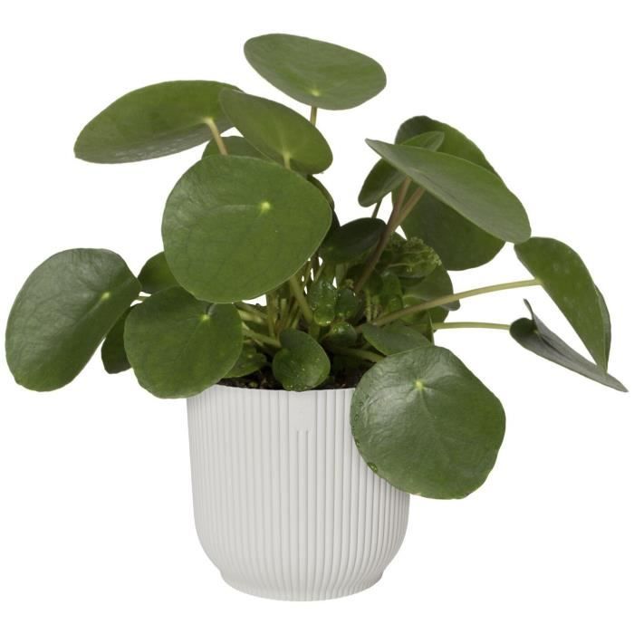 ELHO Pot de fleurs Rond VIBES - Plastique - Ø25xH 23.0 cm - Blanc/Blanc soie