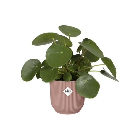 ELHO Pot de fleurs rond avec roues Vibes Fold - Ř 35 x H 32 cm - Intérieur - 100% recyclé - Rose