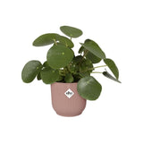 ELHO Pot de fleurs rond avec roues Vibes Fold - Ø 35 x H 32 cm - Intérieur - 100% recyclé - Rose