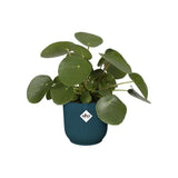 ELHO Pot de fleurs rond avec roues Vibes Fold - Ø 35 x H 32 cm - Intérieur - 100% recyclé - Bleu