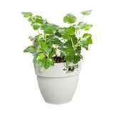 ELHO Pot de fleurs balcon Vibia Campana Easy Hanger Small - Blanc Soie - Balcon extérieur - L 24.1 x W 20.5 x H 26.5 cm