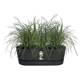 ELHO Balconniere Greenville Easy Balcony 52 - Living Noir - Balcon - L 21.2 x W 52 x H 19.4 cm