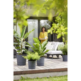 ELHO Pot de fleurs Rond Greensense Aqua Care - Ø 29,,5 x H 29,1 cm - 15 L - Gris Charbon