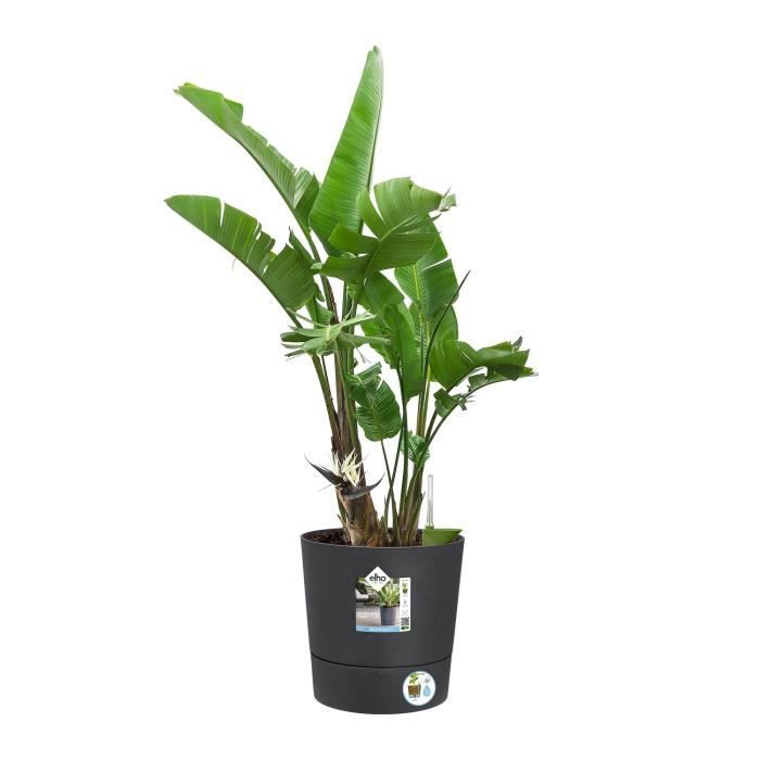 ELHO Pot de fleurs Rond Greensense Aqua Care - Ø 29,,5 x H 29,1 cm - 15 L - Gris Charbon